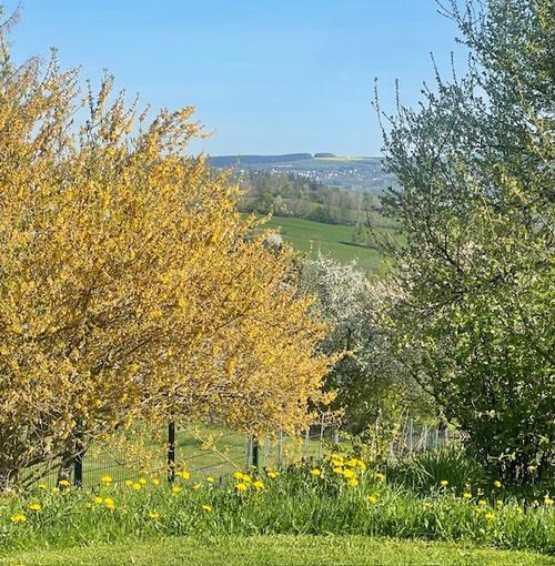Auszeit & Genuss im Erzgebirge – vier Nächte voller Natur und Erholung pur